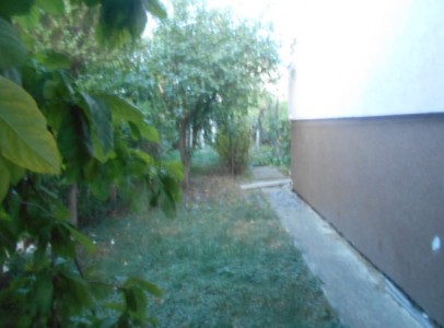 DSCN5306