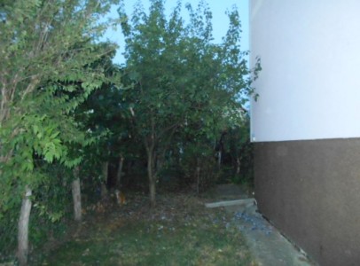 DSCN5307