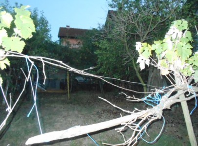 DSCN5310