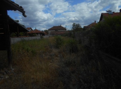 DSCN5320