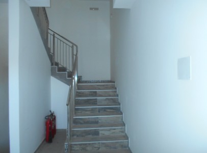 DSCN5325
