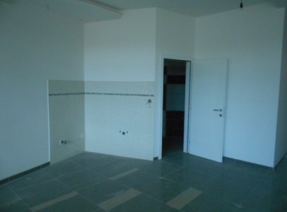 DSCN5329