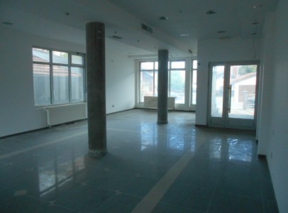 DSCN5331