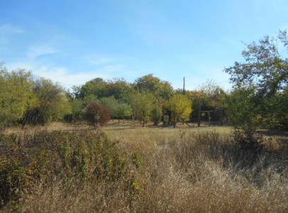 DSCN5358