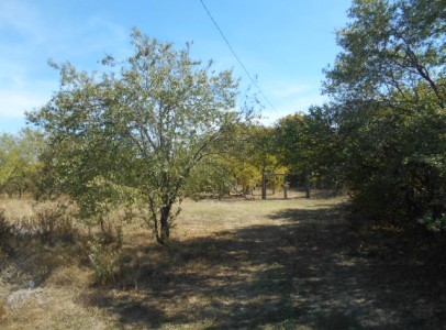 DSCN5360
